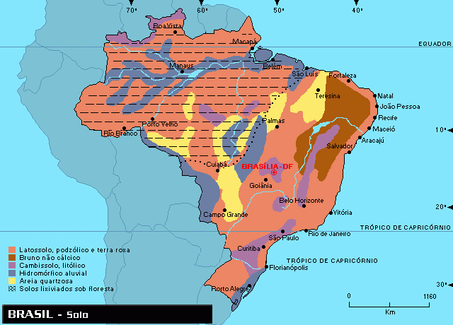 Tipos de solos do Brasil Tipos de solos do Brasil